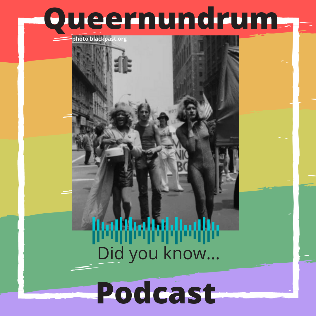 Transgender, women of stonewall, queernundrum